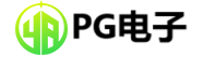 PG（中国电子）股份有限公司