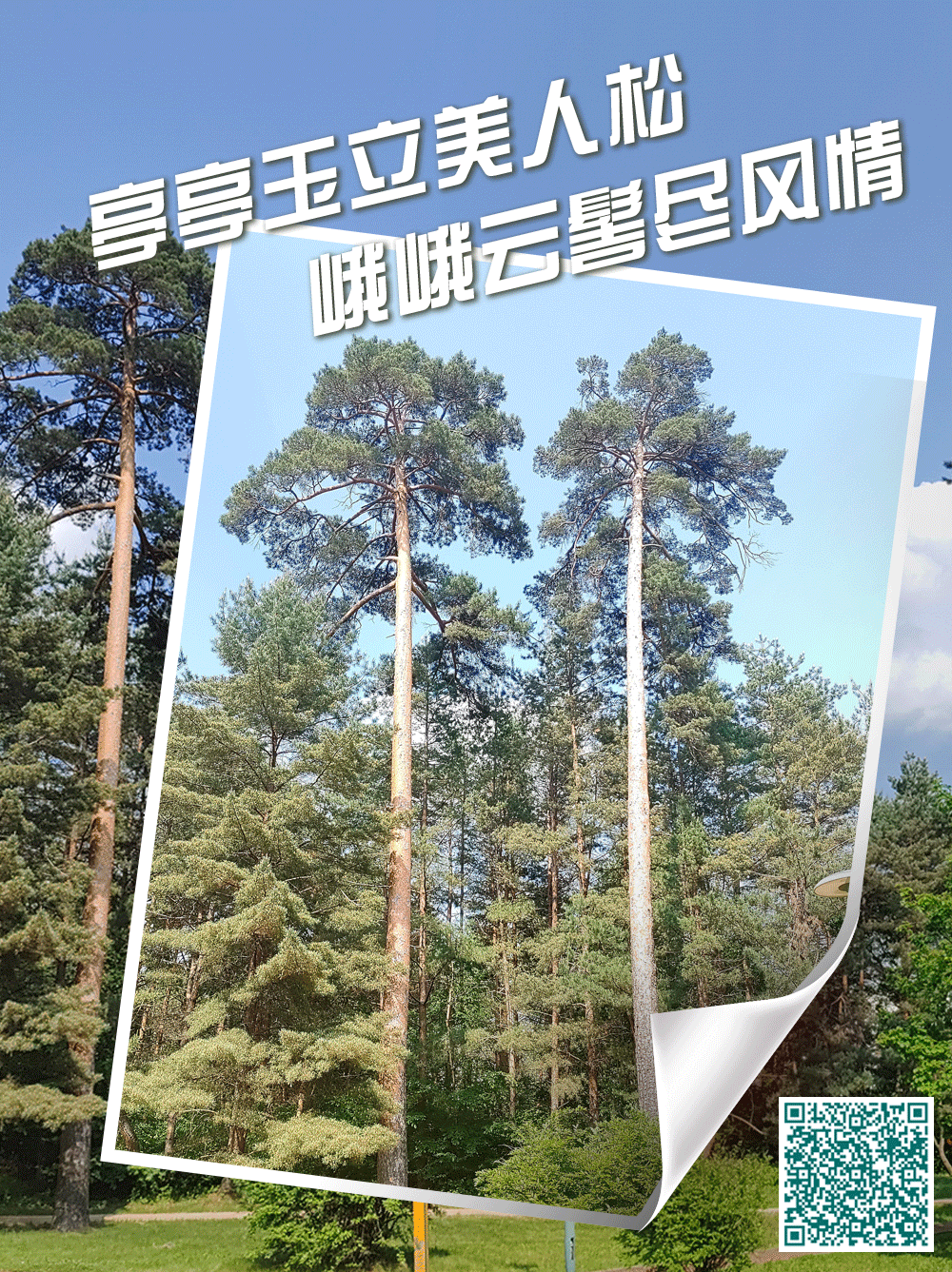etacontent(图3)