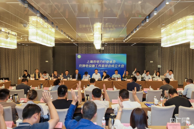 全国首家充换电设施工作委员会在沪成立(图2)