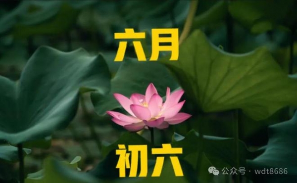 “不怕六月六日晴就怕六月六日阴”究竟为啥怕阴雨？答案来了！