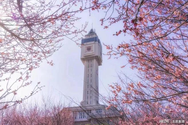 硬核！南京工业大学好不好？全球排名前1%医药健康领域的实力派(图3)