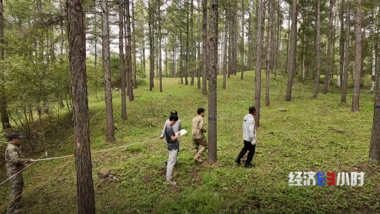 从灰霾笼罩到碧空如洗河北一年平均267天空气质量优良(图17)