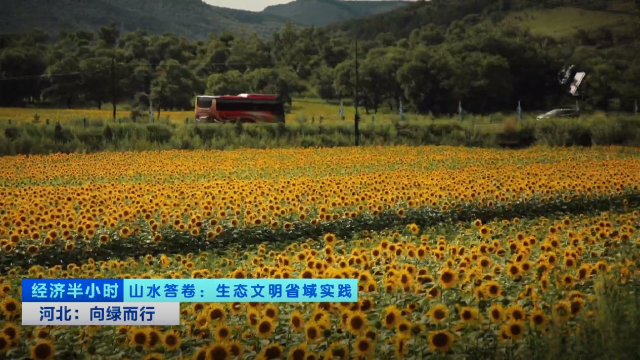 从灰霾笼罩到碧空如洗河北一年平均267天空气质量优良(图18)