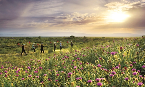 习近平与美丽中国建设（13）：努力建设人与自然和谐共生的美丽中国(图4)