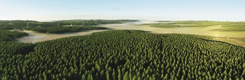 习近平与美丽中国建设（13）：努力建设人与自然和谐共生的美丽中国(图7)