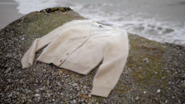 新中有你丨鄂尔多斯羊绒集团：以绿色科技重塑全球羊绒产业新标杆【全景新闻】(图5)