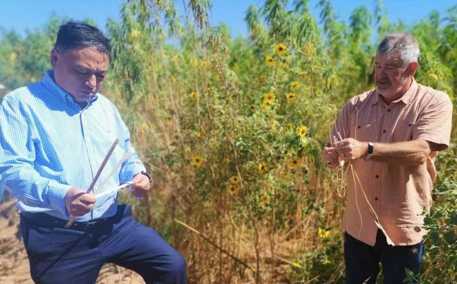 以微生物肥料技术破局盐碱地治理赋能全球土壤健康与粮食安全