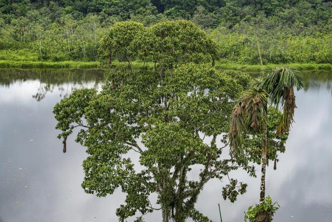 气候资讯｜9月全球前沿气候科学研究极端天气事件(图20)