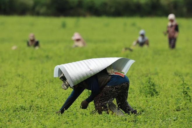 气候资讯｜9月全球前沿气候科学研究极端天气事件(图3)