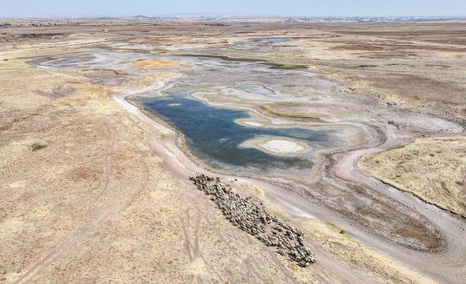 气候资讯｜9月全球前沿气候科学研究极端天气事件(图10)