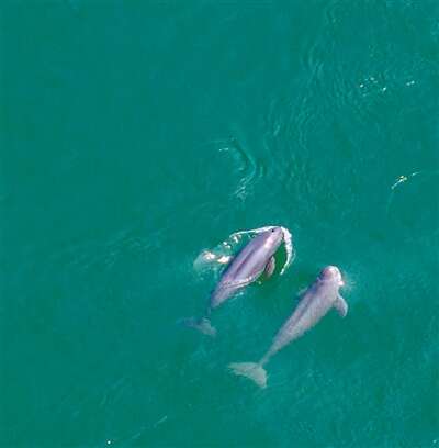 生态文明建设实现新进步(图1)