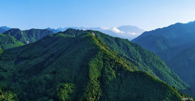 喝矿泉水真的比纯净水更健康？专家解读最新研究！(图3)