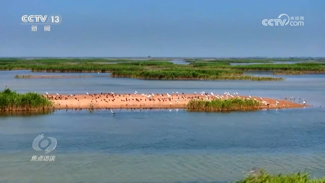 焦点访谈｜中国交出“十四五”高质量生态答卷 为地球增添更多“中国绿”(图10)