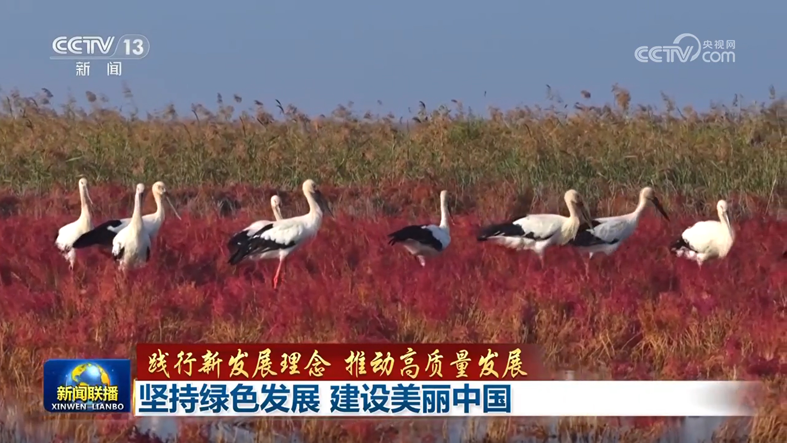 【践行新发展理念 推动高质量发展】坚持绿色 建设美丽中国(图3)