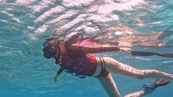 关晓彤浮潜好长的腿网友：从没见过这么长的腿！