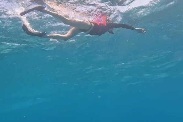 关晓彤浮潜好长的腿网友：从没见过这么长的腿！(图6)