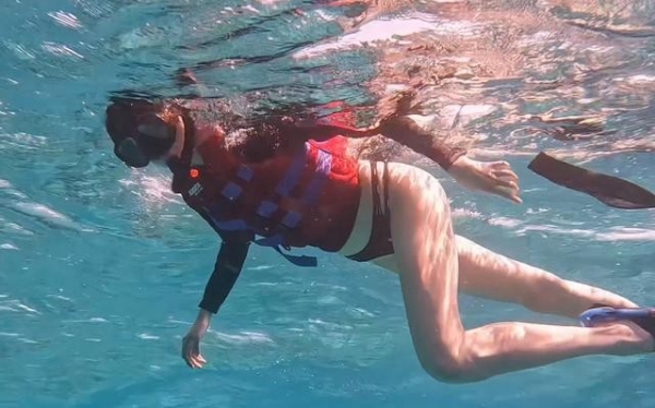 关晓彤浮潜好长的腿网友：从没见过这么长的腿！(图7)