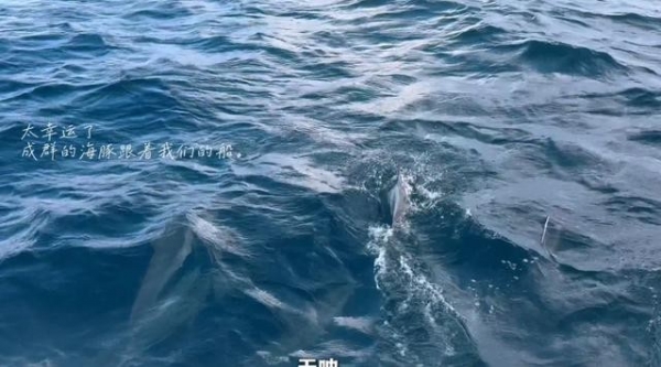 关晓彤浮潜好长的腿网友：从没见过这么长的腿！(图13)