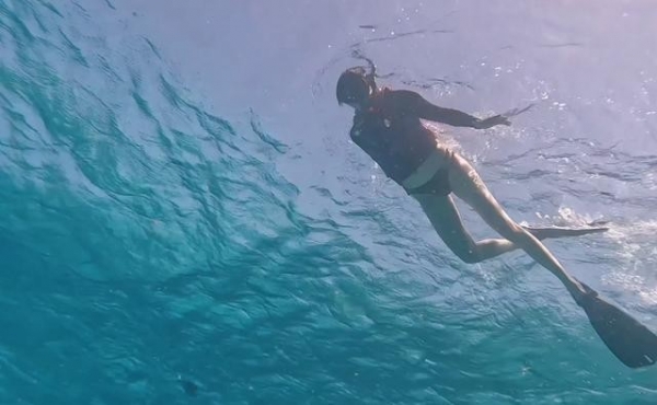 关晓彤浮潜好长的腿网友：从没见过这么长的腿！(图15)