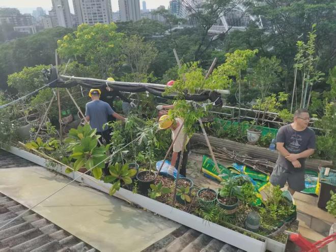 江门：同心协力共建健康优质人居环境(图3)