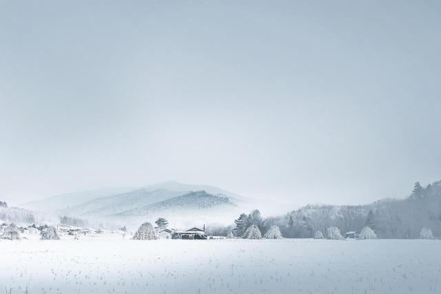 冬季空气质量：如何减少室内污染？(图2)