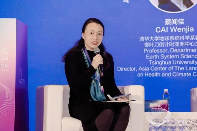 第五届世界卫生健康论坛｜清华气候院“绿色低碳医疗卫生体系”报告发布(图4)