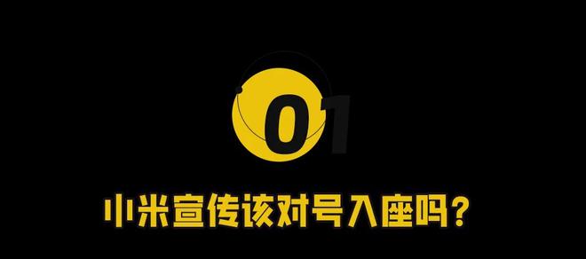 新华社点名雷军天塌了(图2)