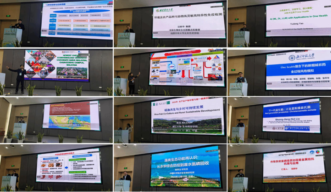 第四届流域水资源管理与综合治理国际学术会议暨农产品产地环境与同一健康国际会议在宁波大学举行(图5)