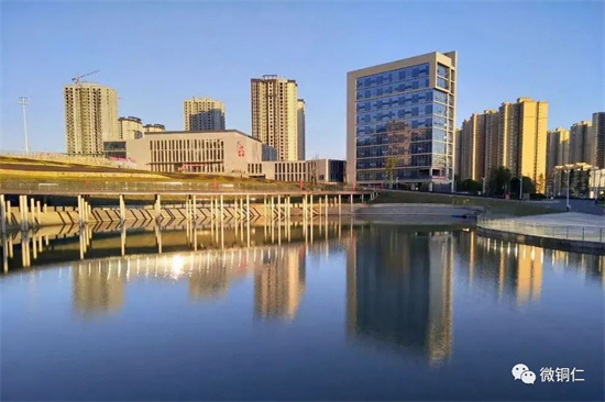 康奈尔大学官宣成立新学院