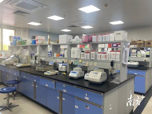 大湾区宠物经济“铁三角”撬动万亿市场(图2)