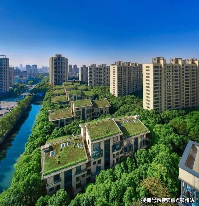 中鹰黑森林 (官方认证售楼处) 官网 - 中鹰黑森林销售中心 - 环境户型价格地址楼盘详情配套电话(图5)