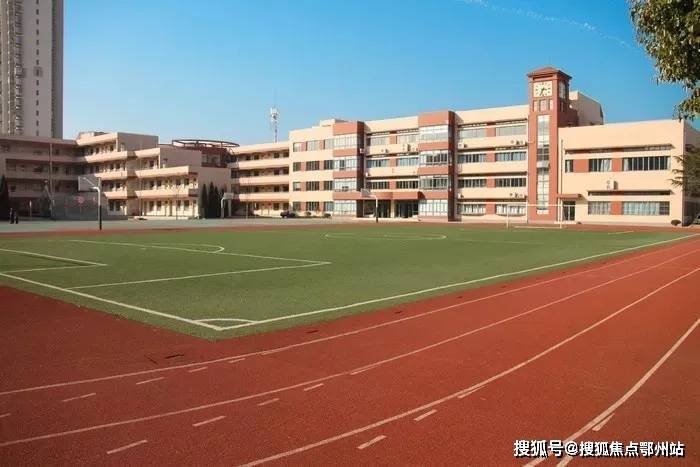 中鹰黑森林 (官方认证售楼处) 官网 - 中鹰黑森林销售中心 - 环境户型价格地址楼盘详情配套电话(图14)