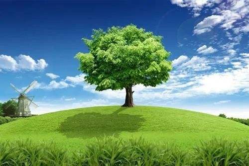 以美丽中国引领生态环境治理新范式