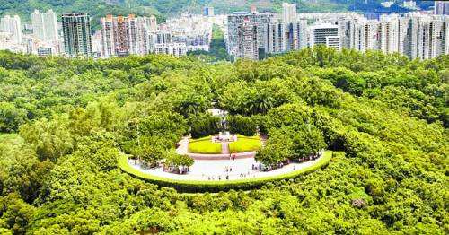 历史性突破！红河州“十五五”开局空气质量创历史最优 全域“治气”成效显著