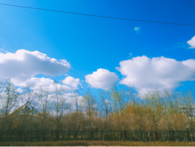 新疆政府工作报告（全文）