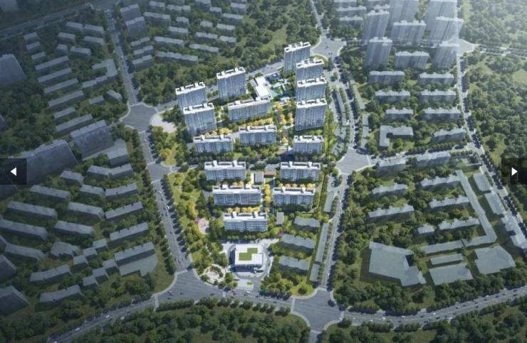 合肥保利琅悦项目电话号码-学区(图5)