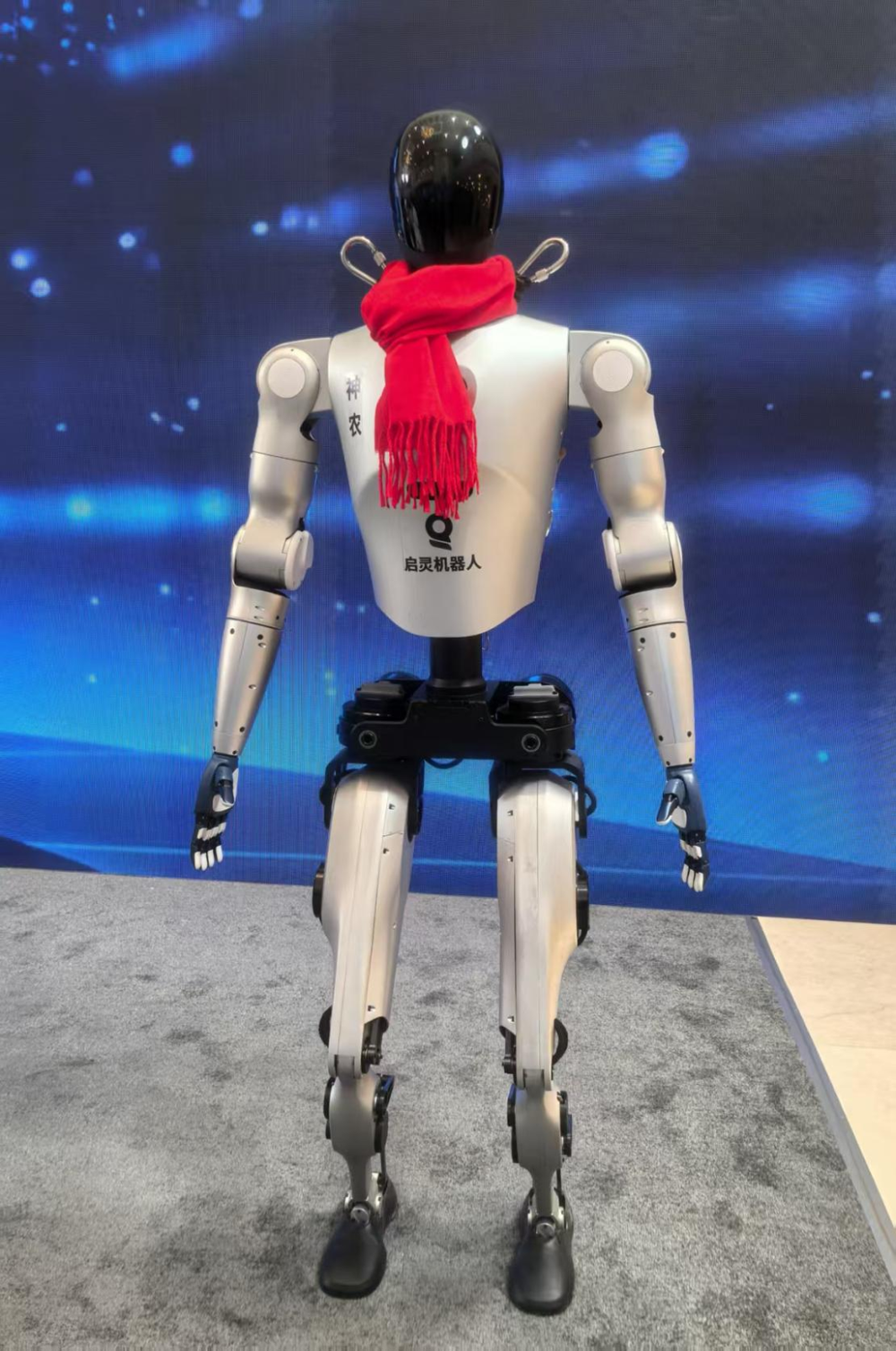 “老友”升级“新朋”首秀！湖北“新春第一会”Ta们硬核亮相