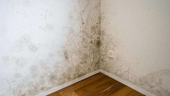 研究发现：氡气被确定为肺癌的主要致病因素氡气又在哪些地方呢(图2)