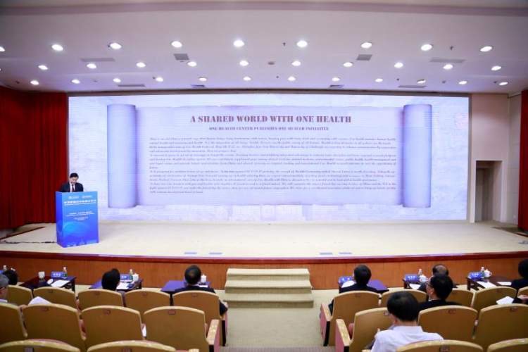 英国女王大学本科申请指南 本科申请趋势 + 优势专业全盘点(图1)