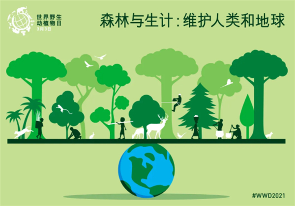 迈向人与自然和谐共生的现代化的法治里程碑（人民要论）(图1)