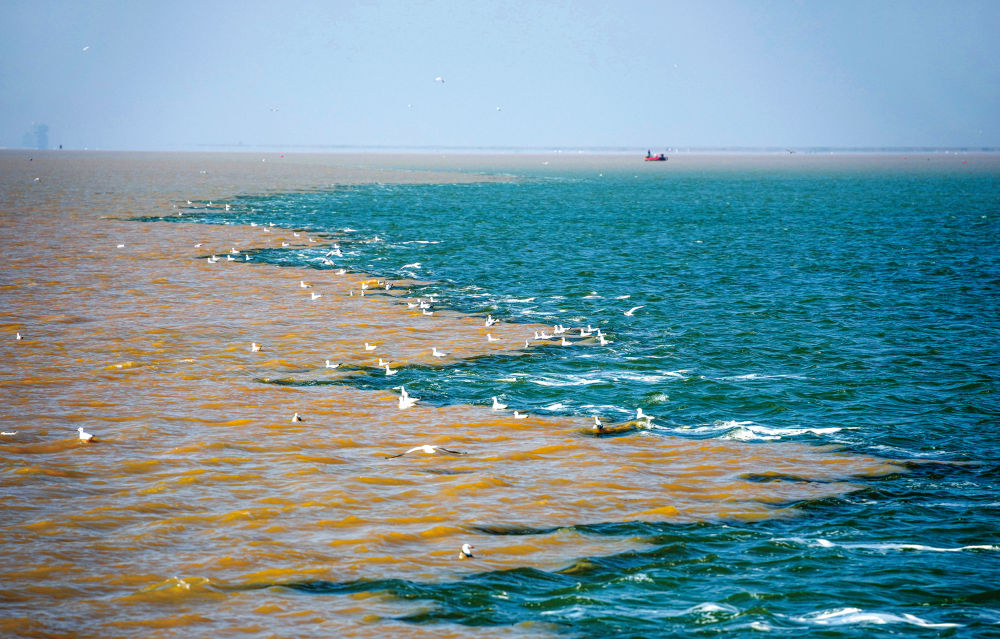 顺流而下的生态守护 逆流而上的协作帮扶——黄河首尾情系一脉(图2)