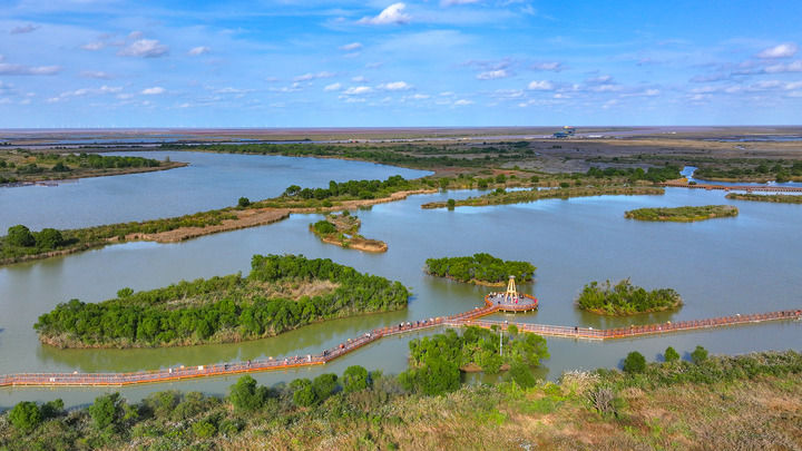 顺流而下的生态守护 逆流而上的协作帮扶——黄河首尾情系一脉(图4)