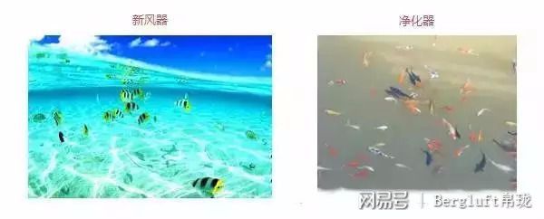 如何改善家庭的空气质量？可能很多人用错方法了