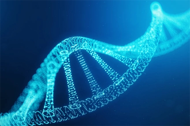 北京神州国天科学技术以顶尖智库赋能生命健康创新探索_热点_聊城大众网(图7)