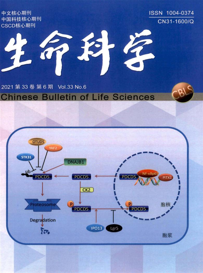 「利德健康」完成超亿元Pre-A+轮融资加速AIforScience业务发展
