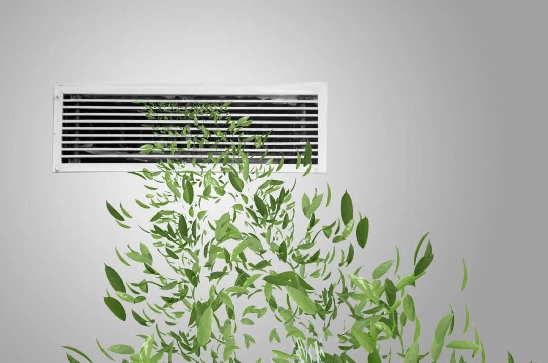 健康办公新风尚：揭秘顶级企业如何实现空气质量优化